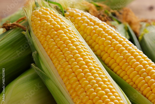 とうもろこし　Sweet Corn