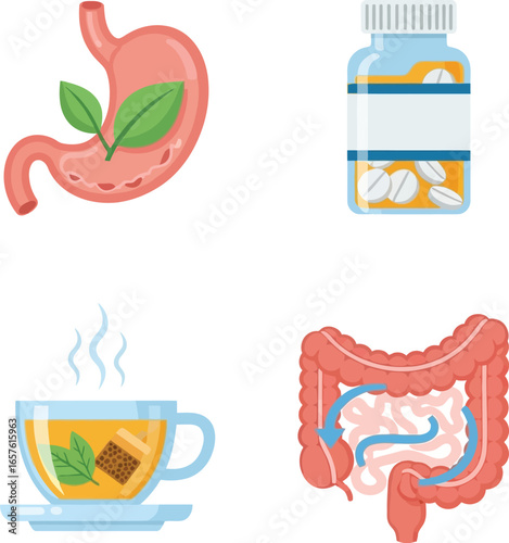 Herbal remedies and digestive health: stomach, intestines, tea, and pills.