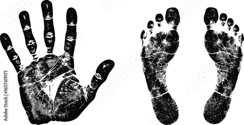 Handprint and footprints black silhouette, grunge texture prints, human palm and soles, body marks art, fingerprint pattern, vintage style, vector illustration