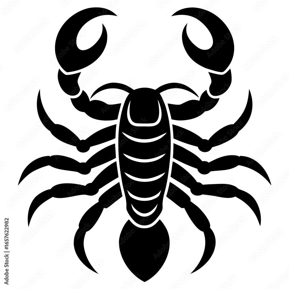 Obraz premium black scorpion isolated on white