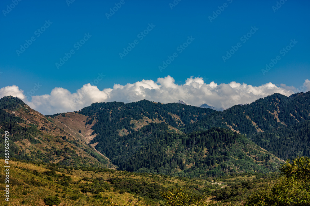 Obraz premium mountain landscape in the mountains