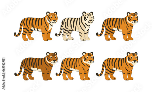 Cute cartoon tigers: variety of colors and stripes in flat animal design