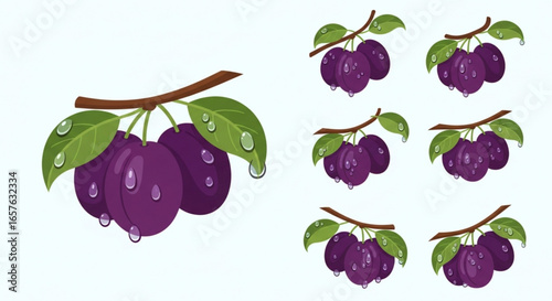 Fresh plums on branch with water drops vector illustration healthy food and fruit diet concept design element