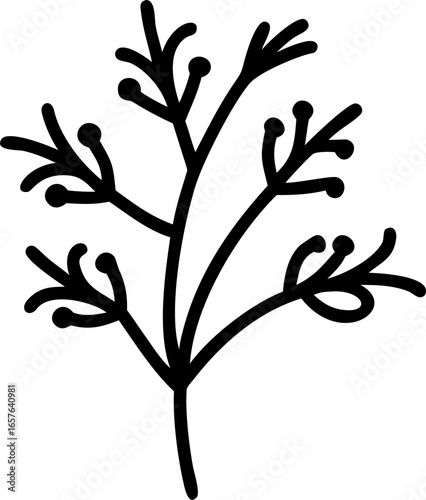 Detailed illustration of a fresh dill plant with delicate fronds