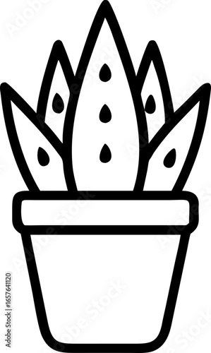 Stylized haworthia succulent plant illustration