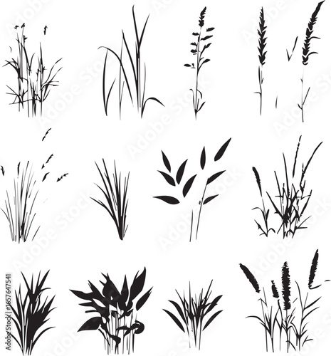 Various Tall Grass and Weed Silhouettes
