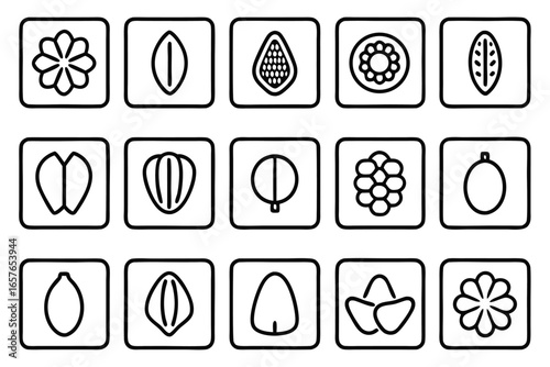 Collection of stylized seed and fruit icons in black outline botanical