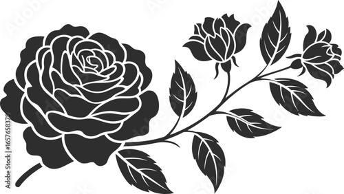 Rose Flower with Leaves & Branch, Floral Silhouette on White Background