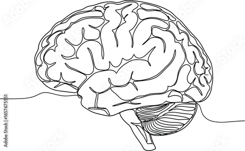 Striking single line art of human brain, symbolizing thought and intellect