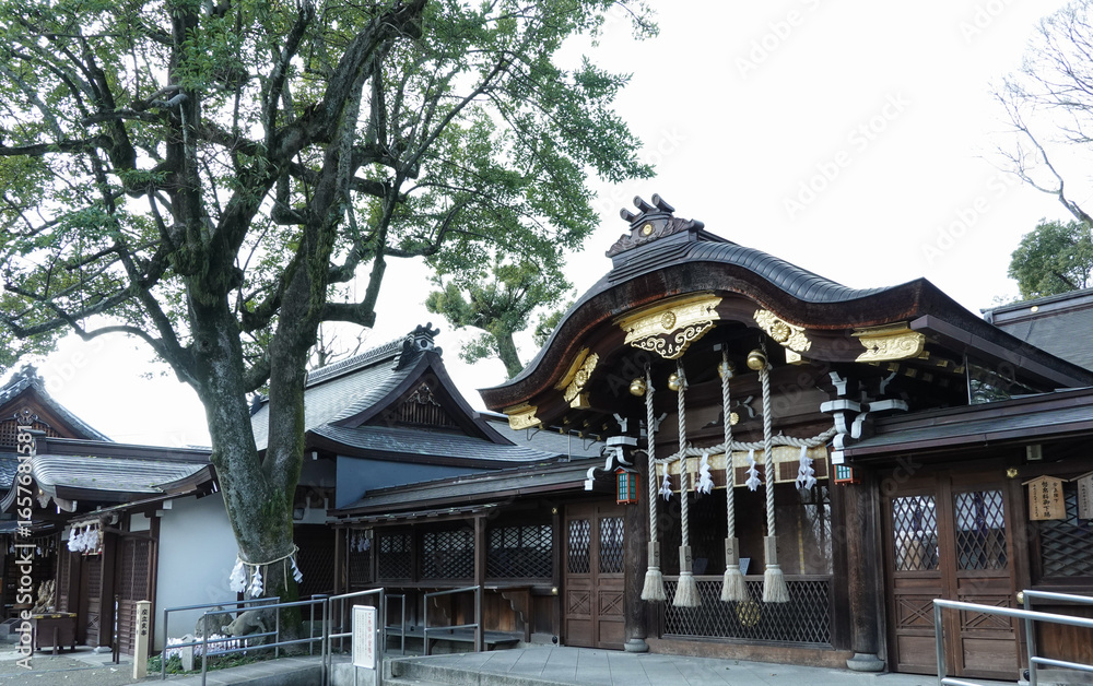 Fototapeta premium 京都府_護王神社