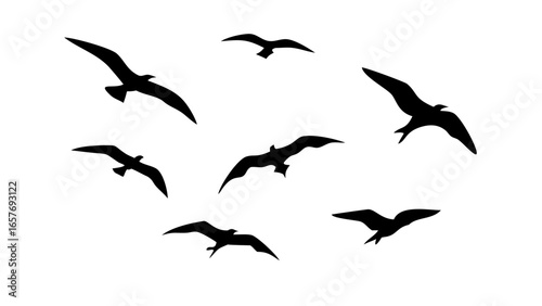 Flock of Flying Birds Silhouette wings