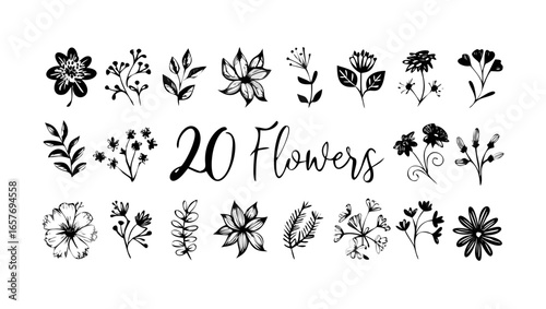 Hand Drawn Flower Petal Flourishes floral petals