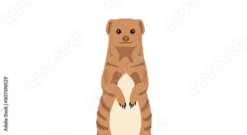 Cartoon Meerkat Standing Upright on a White Background Looking Directly Ahead Animated  African Animal Illustration Detailed Furry Texture