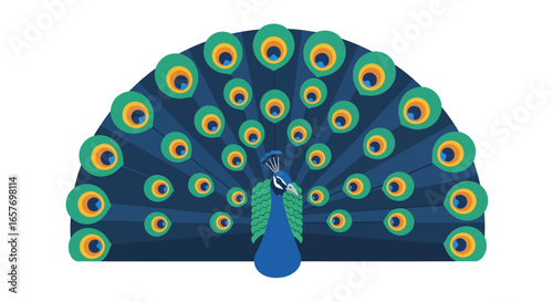 Majestic peacock plumage showcasing vibrant colors and intricate feather patterns in a flat illustration style