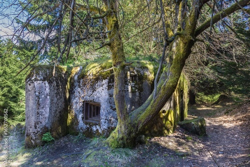 Overgrown Forest Bunker, Czech Republic