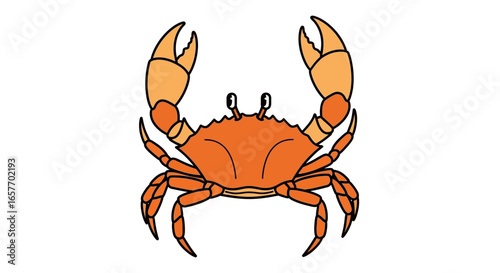 Stylized orange crab illustration with raised claws conveying a sense of playful challenge and coastal life depiction suitable for kid's designs