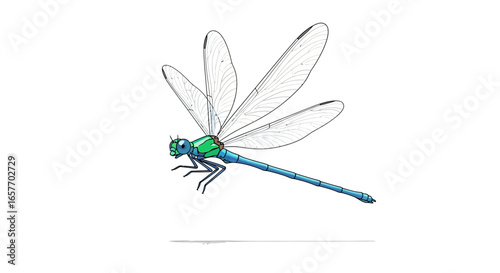 Detailed illustration featuring a vibrantly colored dragonfly set against a pure white backdrop showcasing graceful wings and intricate body markings