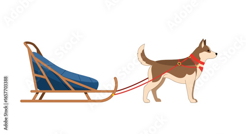 Vector illustration of a dog pulling a blue sled, representing winter transportation, sports, or arctic exploration on a clean white backdrop