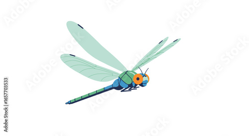 Stylized Dragonfly Illustration with Translucent Wings on White Backdrop perfect for designs or educational materials focusing on insect biology or