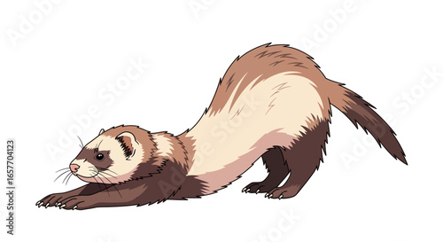 Animated Ferret Stretching on White Backdrop, Illustration of Pet Doing Yoga Pose, Exercise Posture, Depicting Flexibility and Relaxation, Digital