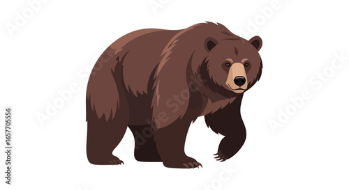 Digital illustration of a brown bear on a plain background, showcasing its robust build and determined forward stride looking ahead in the wilds