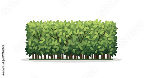 Stylized Green Hedge Illustration for Gardens and Landscaping Designs, Ornamental Greenery and Natural Separators, Foliage Vector
