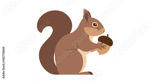 Squirrel's Delight: A Graphic Representation of a Squirrel Enjoying its Acorn Gathering Season Delightfully and Gracefully