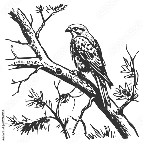Falcon perched on a textured branch bird tree