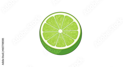 Vibrant lime citrus illustration with symmetrical slice segments over a white backdrop