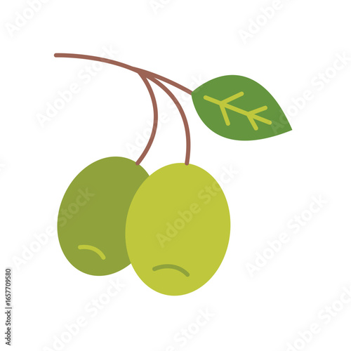Olives Fruit Flat Color Icon: Healthy Food and Ingredient