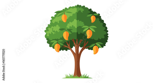 Stylized mango tree with vibrant green foliage and ripe fruit, isolated on a white background, evoking a tropical orchard illustration with simple