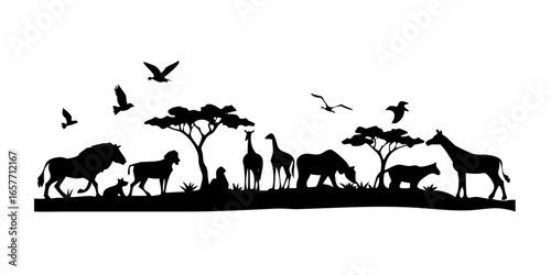 Safari Animals and Birds