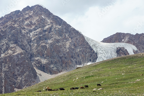 キルギス_バルスコオン