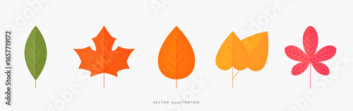 Autumn leaves icon set with stipple effects. Colourful fall leaf with sand grain or dots texture. Maple, oak, birch, ash leaf. Minimalistic and modern design. Vector illustration