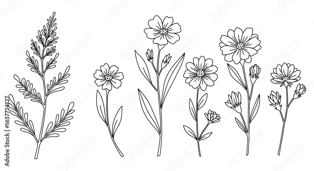 Fototapeta premium A collection of simple line drawn flowers and plants on white background silhouette