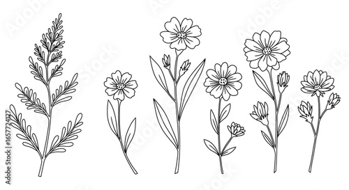 A collection of simple line drawn flowers and plants on white background silhouette
