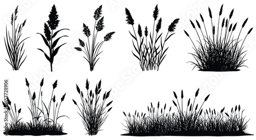 A collection of various grass and reed silhouettes on a white background