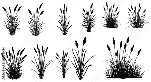 A collection of cattail plants in various poses and sizes in black silhouette