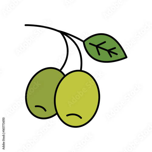 Olives Fruit Lineal Color Icon: Healthy Food and Ingredient