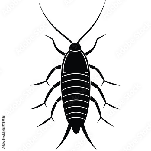 insect vector