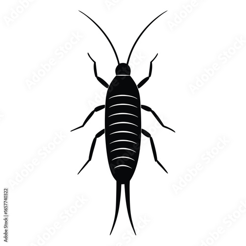 insect vector