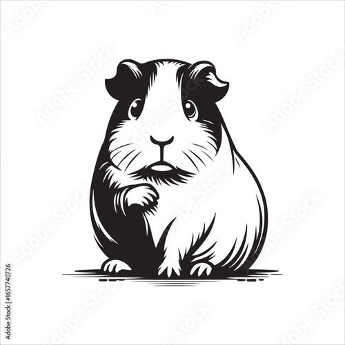 Guinea Pig with Paw on Face Looking Curious and Concerned animal