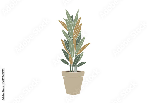 A tall potted houseplant with long slender leaves featuring subtle speckled patterns in earthy green and tan hues