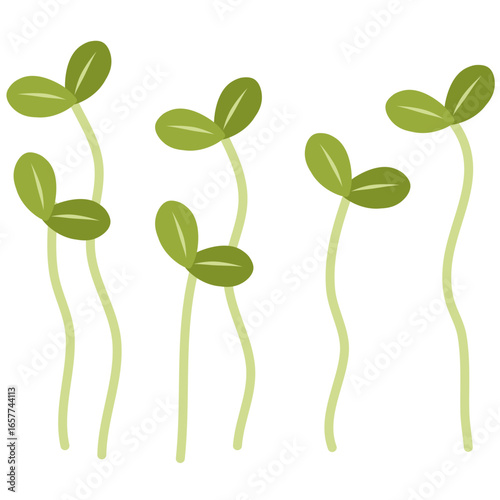 Illustration of several green sprouts with two leaves on a white background.
