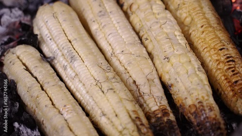 Grilled corn roasting on coals