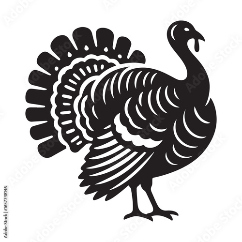 Turkey Vector Illustration