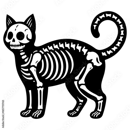 vector illustration of a skeleton  cat