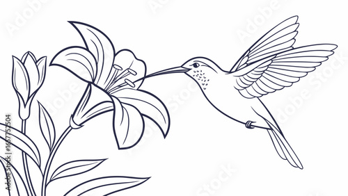 An elegant hummingbird in mid-flight, delicately sipping nectar from a blooming lily.