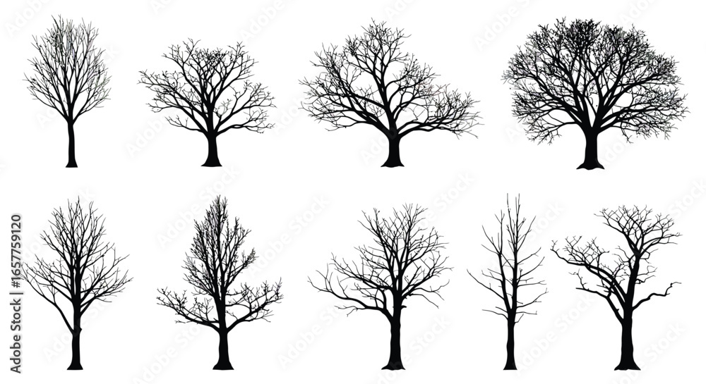Obraz premium Collection of bare trees in various shapes and sizes on white background silhouette