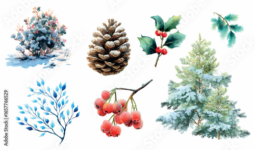 Watercolor set of winter elements. Christmas tree, snow, branch of Christmas tree and holly, bush covered with snow and others. Elements of parks, forest, square and other natural areas in winter.